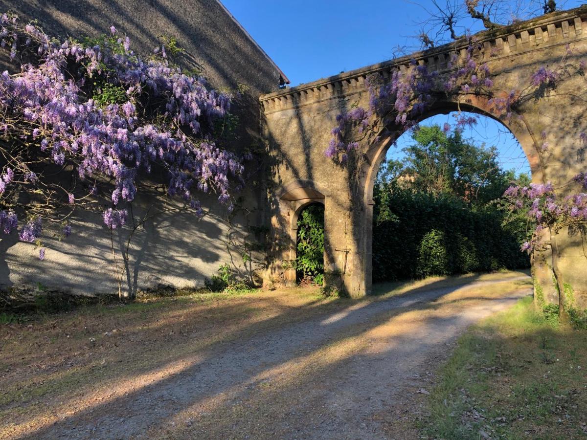 Chateau De La Mothe Saint-Sulpice-en-Pareds ภายนอก รูปภาพ