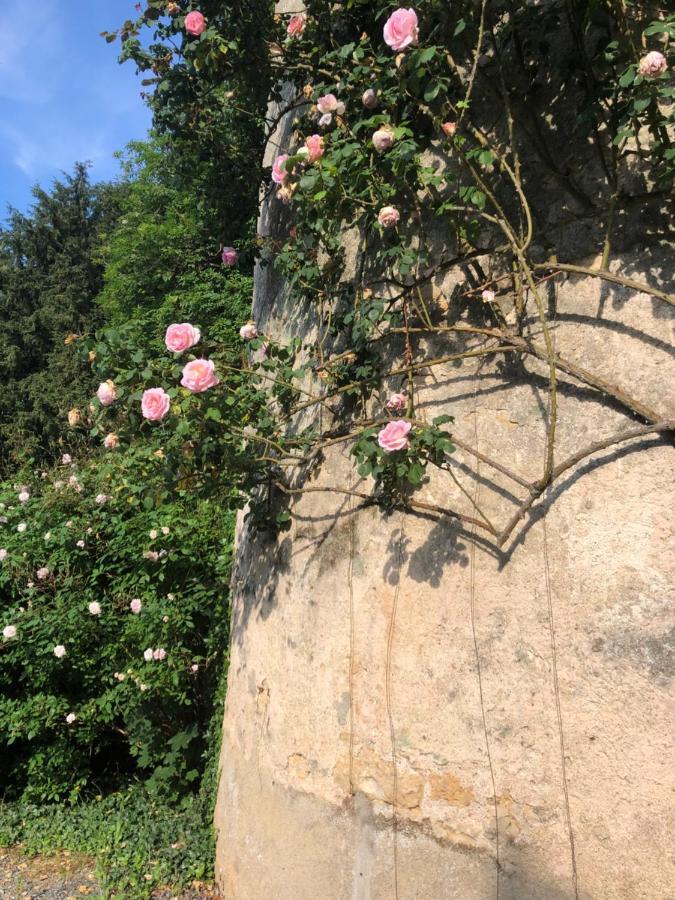 Chateau De La Mothe Saint-Sulpice-en-Pareds ภายนอก รูปภาพ